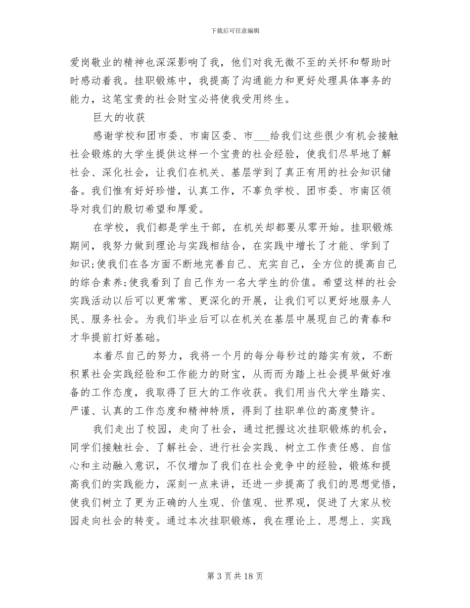 挂职2024年个人工作总结_第3页