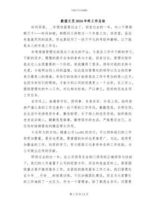 数据文员2024年终工作总结