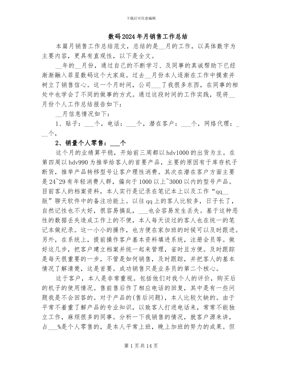 数码2024年月销售工作总结_第1页