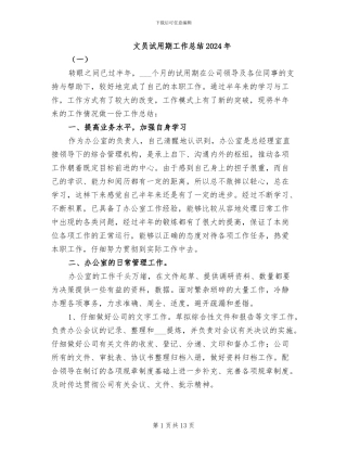 文员试用期工作总结2024年