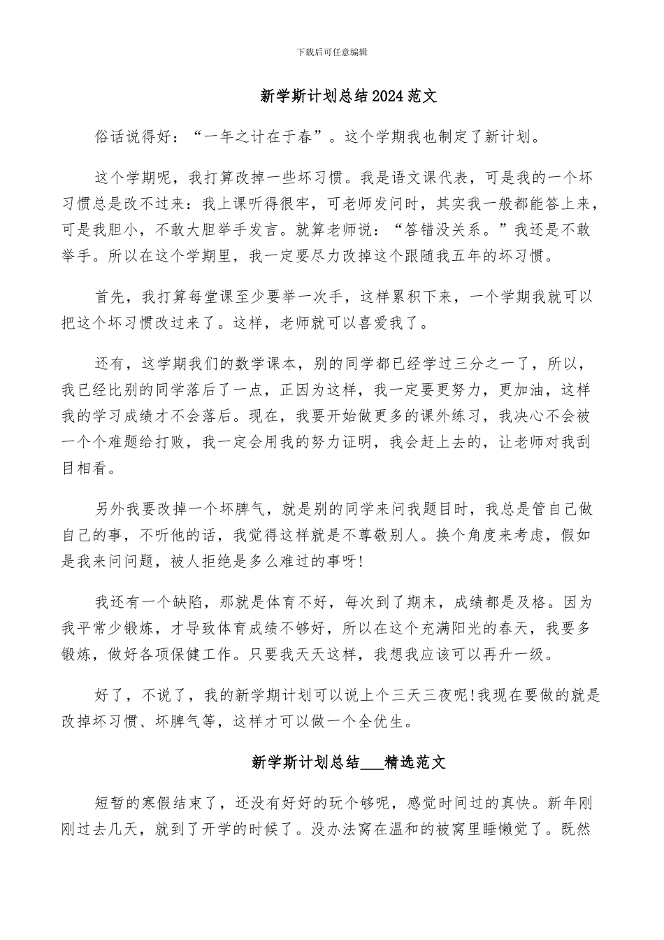 新学斯计划总结2024范文_第1页