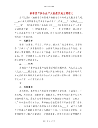 春季复工安全生产大检查实施方案范文