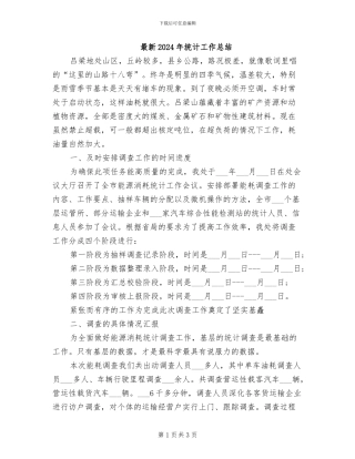 最新2024年统计工作总结