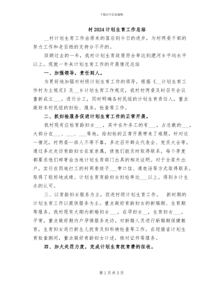 村2024计划生育工作总结