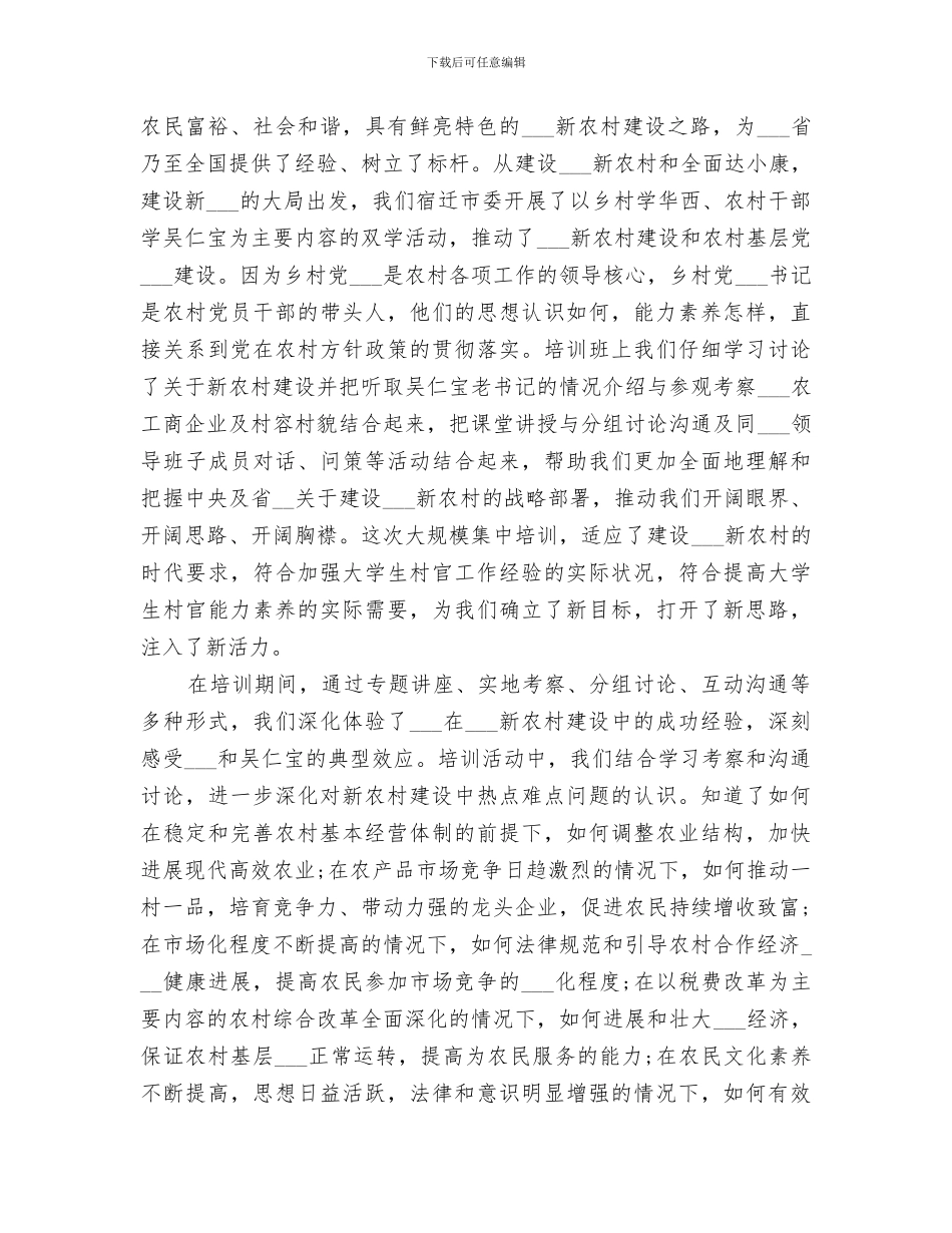 村官2024年年终工作总结优秀_第3页