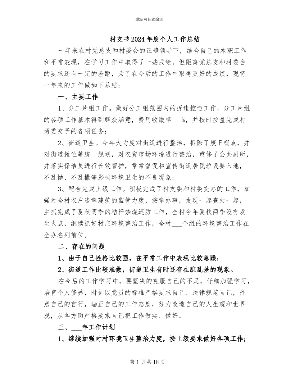 村支书2024年度个人工作总结_第1页
