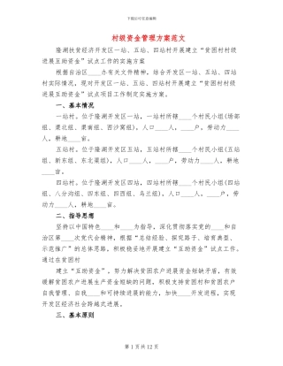 村级资金管理方案范文(3篇)