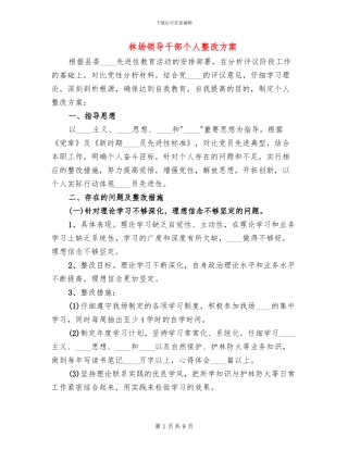 林场领导干部个人整改方案