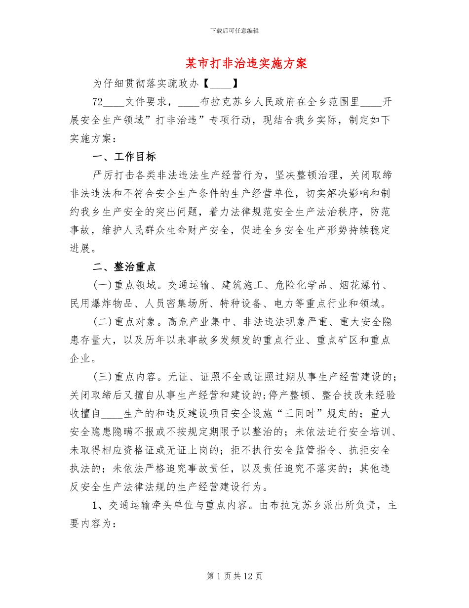某市打非治违实施方案_第1页