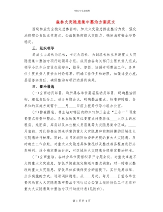 森林火灾隐患集中整治方案范文(2篇)