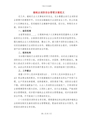 植绒业消防安全管理方案范文