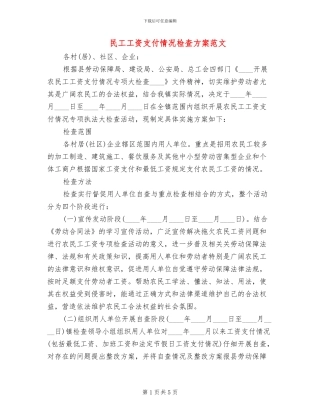 民工工资支付情况检查方案范文