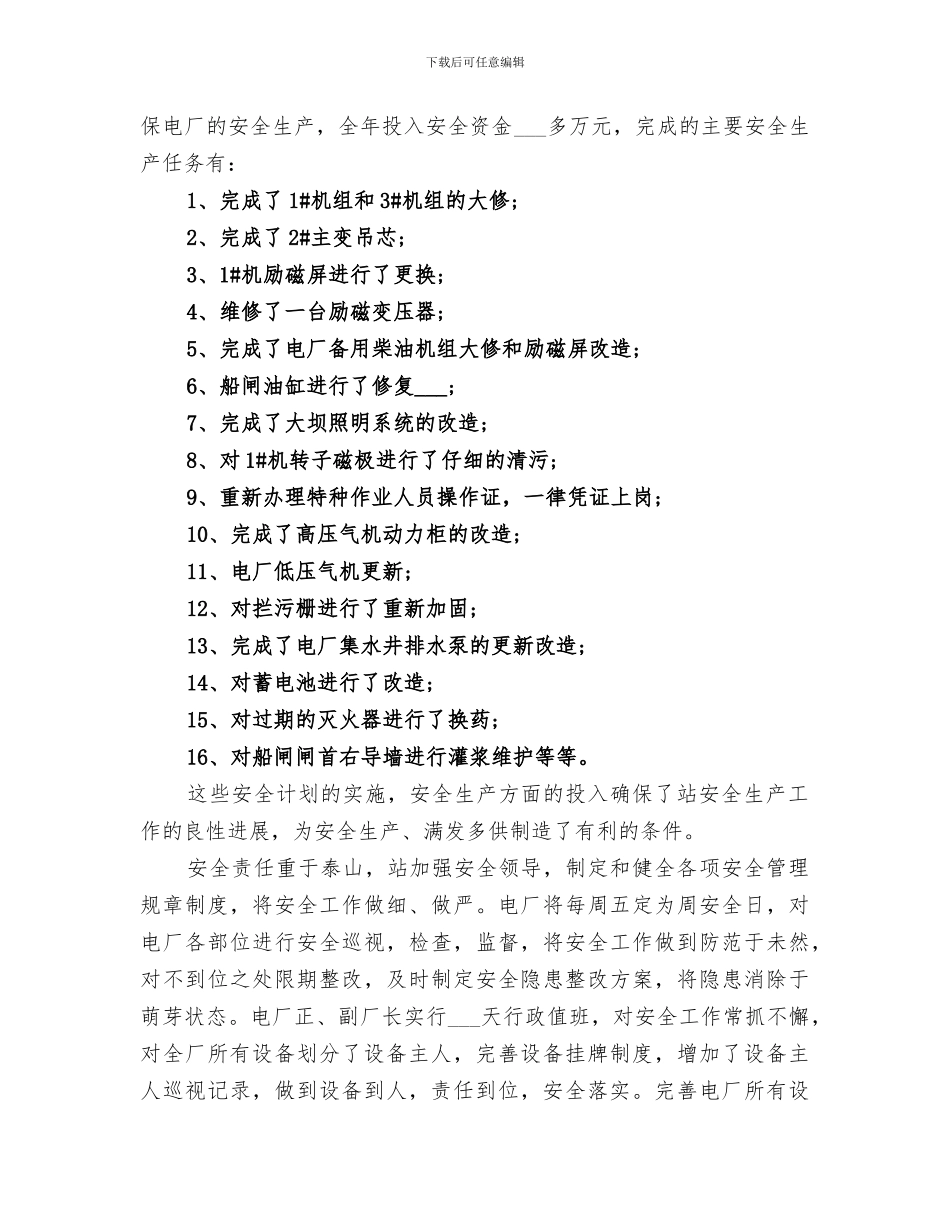 水电站2024终工作总结_第2页