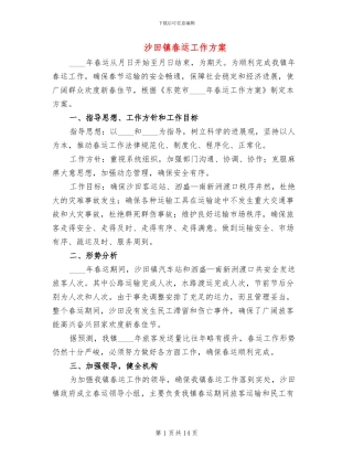 沙田镇春运工作方案