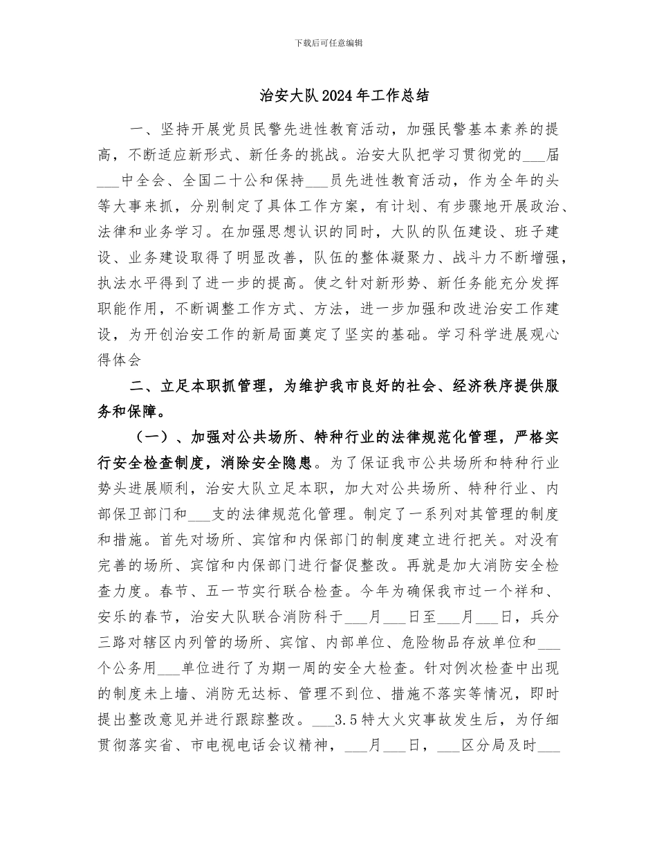 治安大队2024年工作总结_第1页