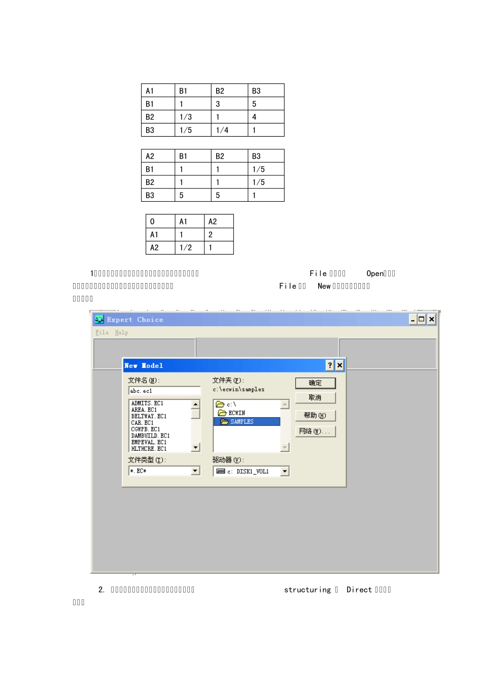ExpertChoice使用手册_第2页