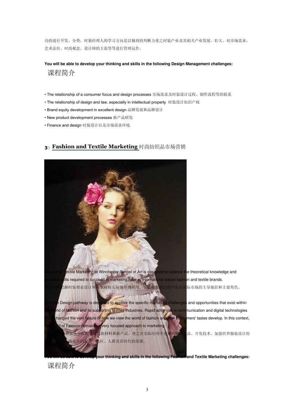 FashionDesign时装设计_第3页