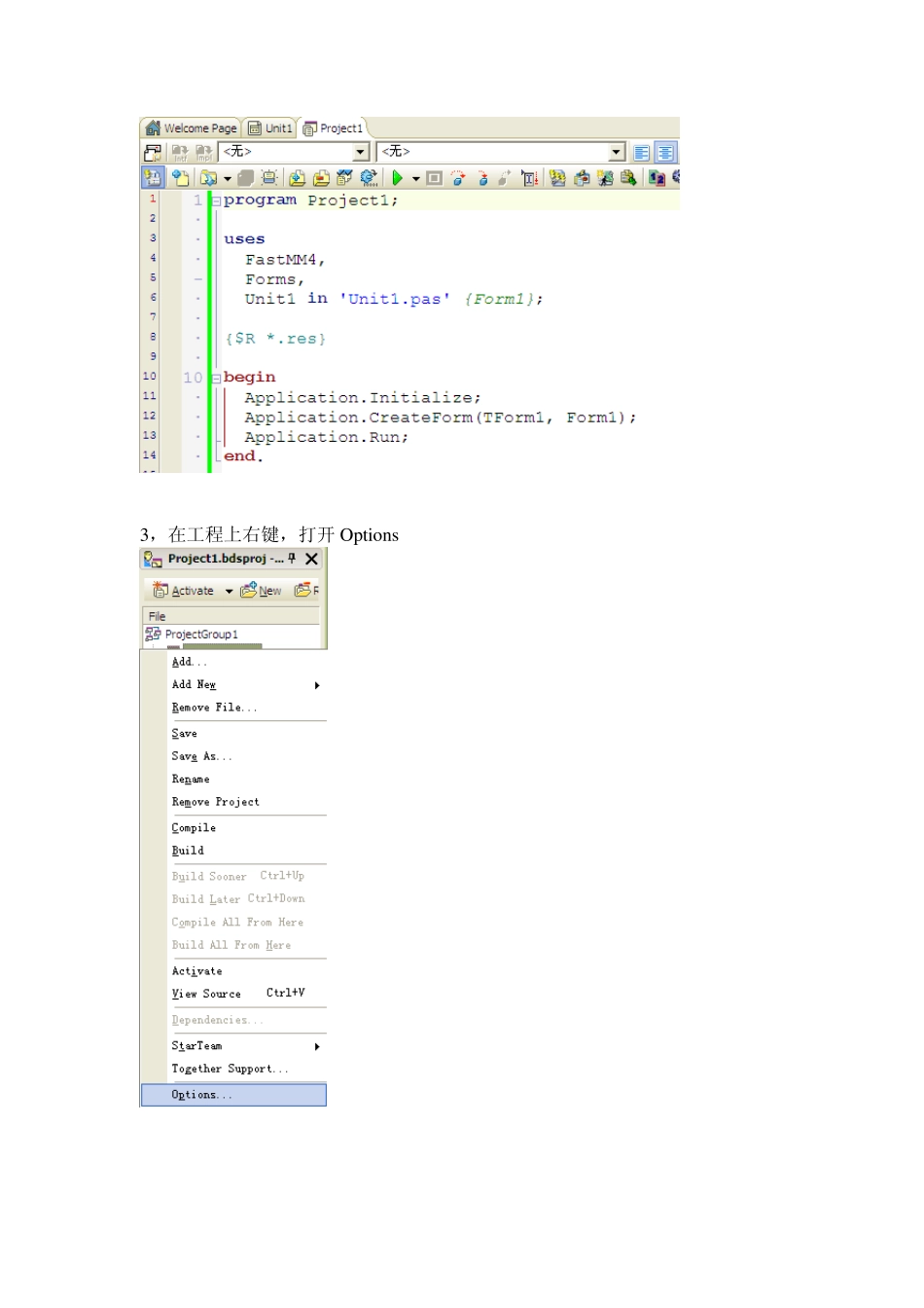 FastMM4查内存泄露_第2页