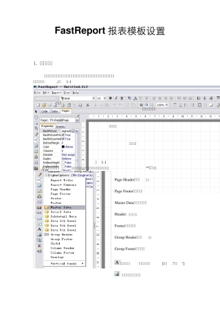 FastReport报表模板设置