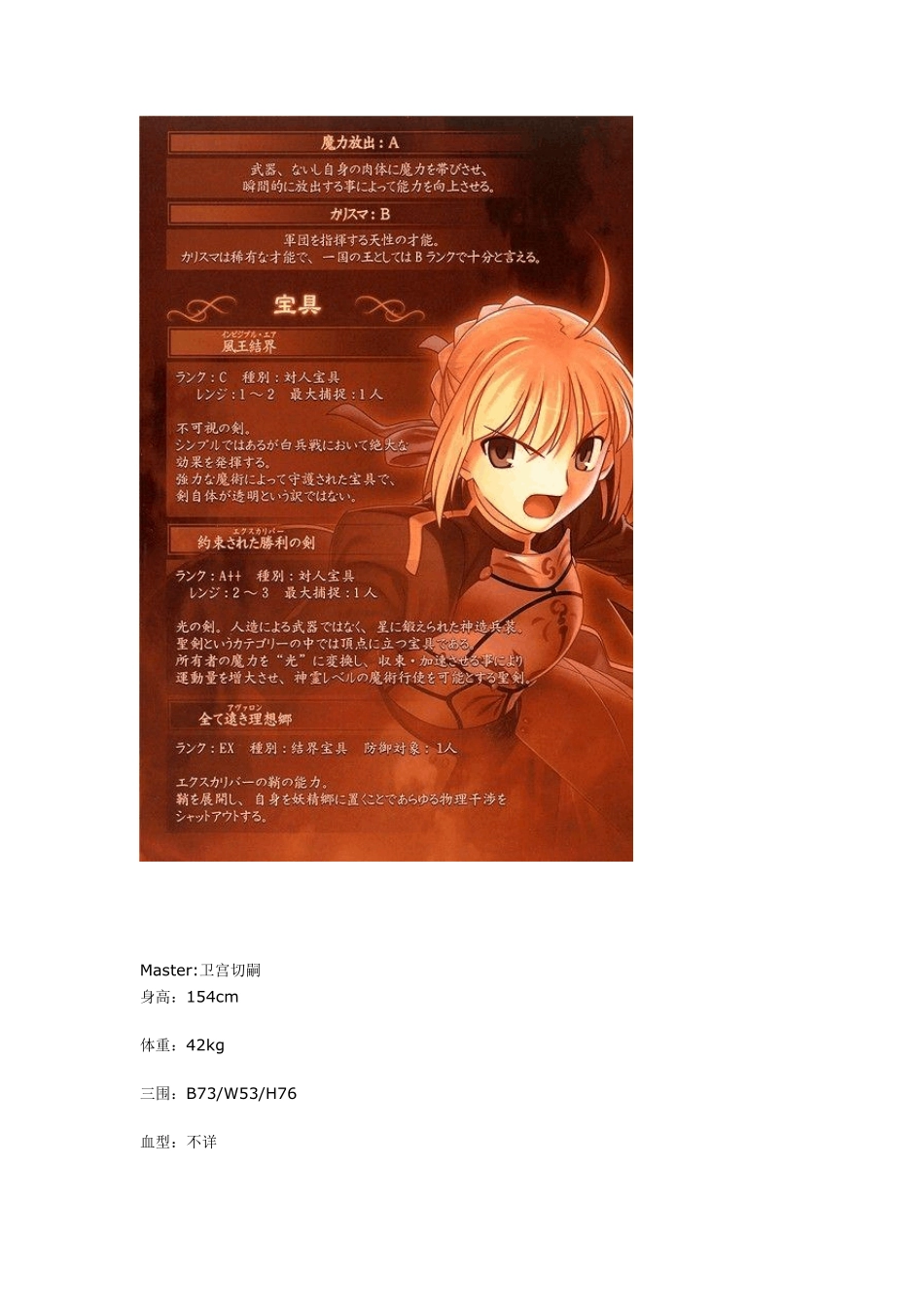 FATE_ZERO_全英灵资料_第2页