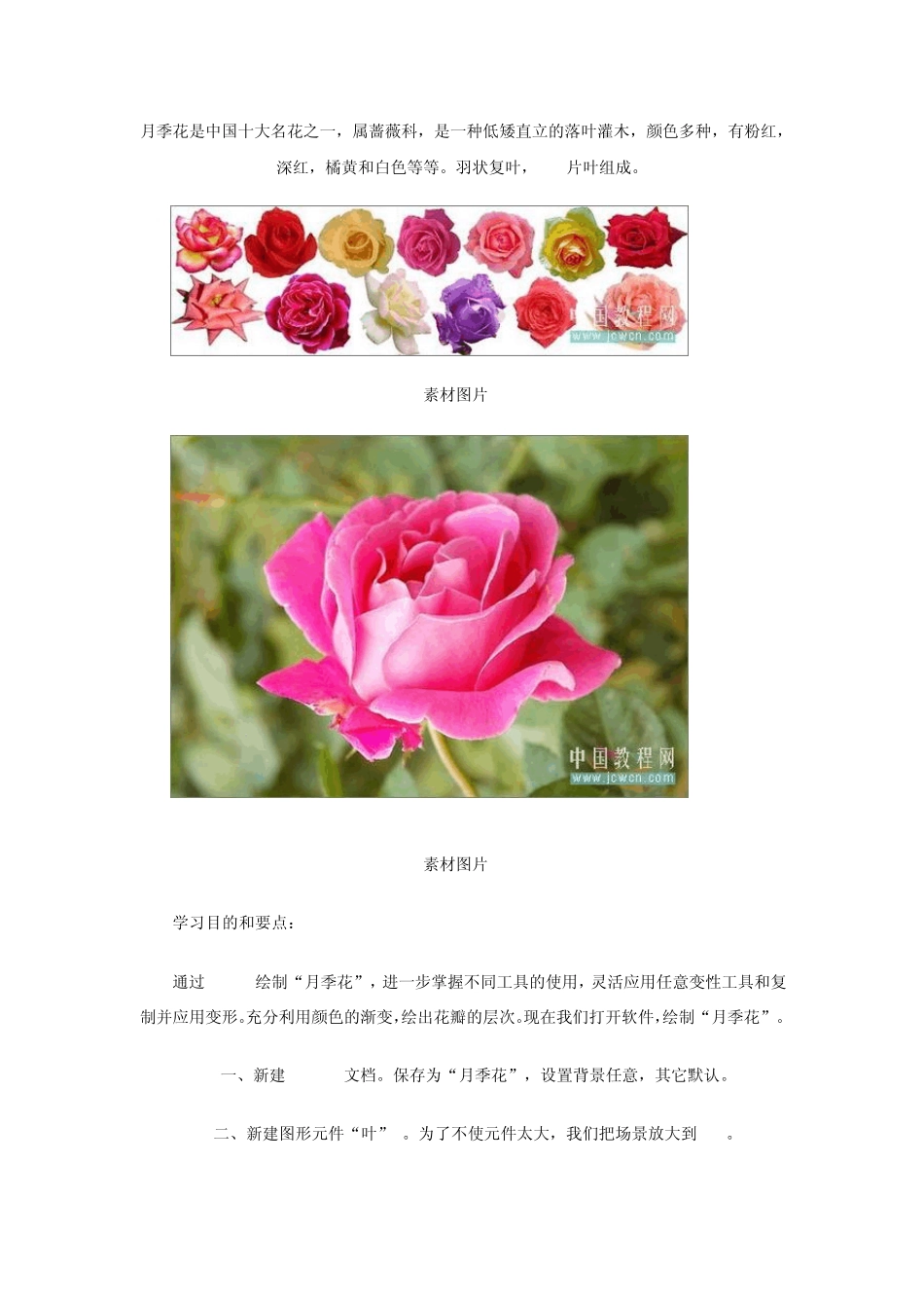 Flash鼠绘入门第九课：绘制漂亮月季花_第1页