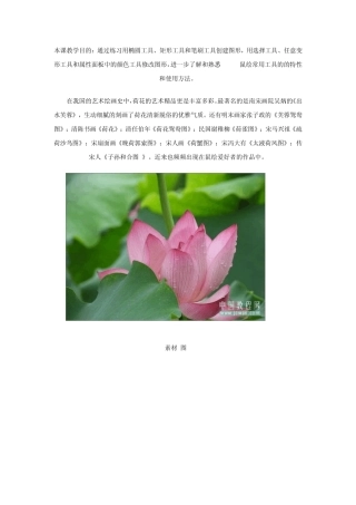 Flash鼠绘入门第八课：绘制脱俗荷花