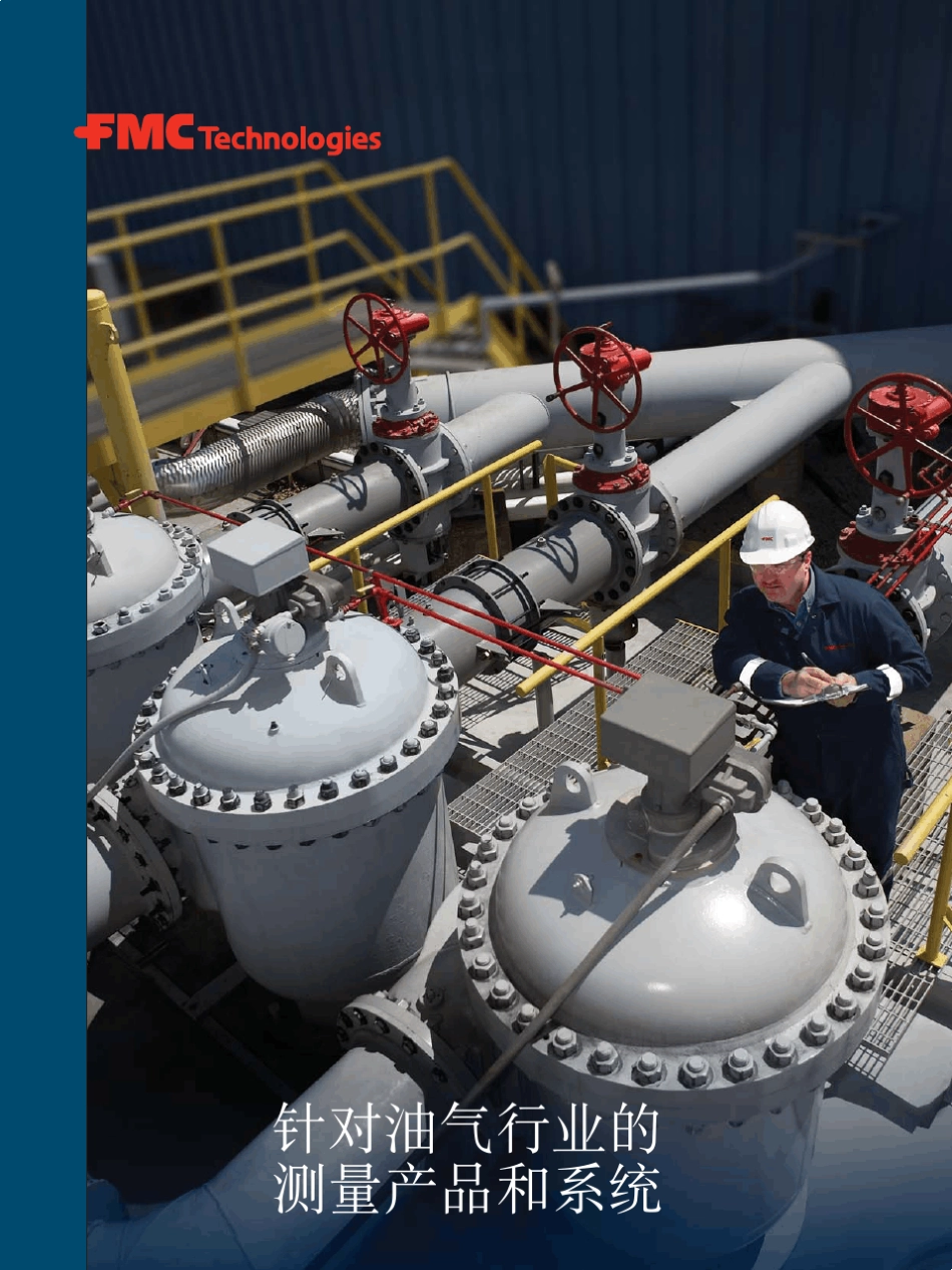 FMC石化设备_第1页