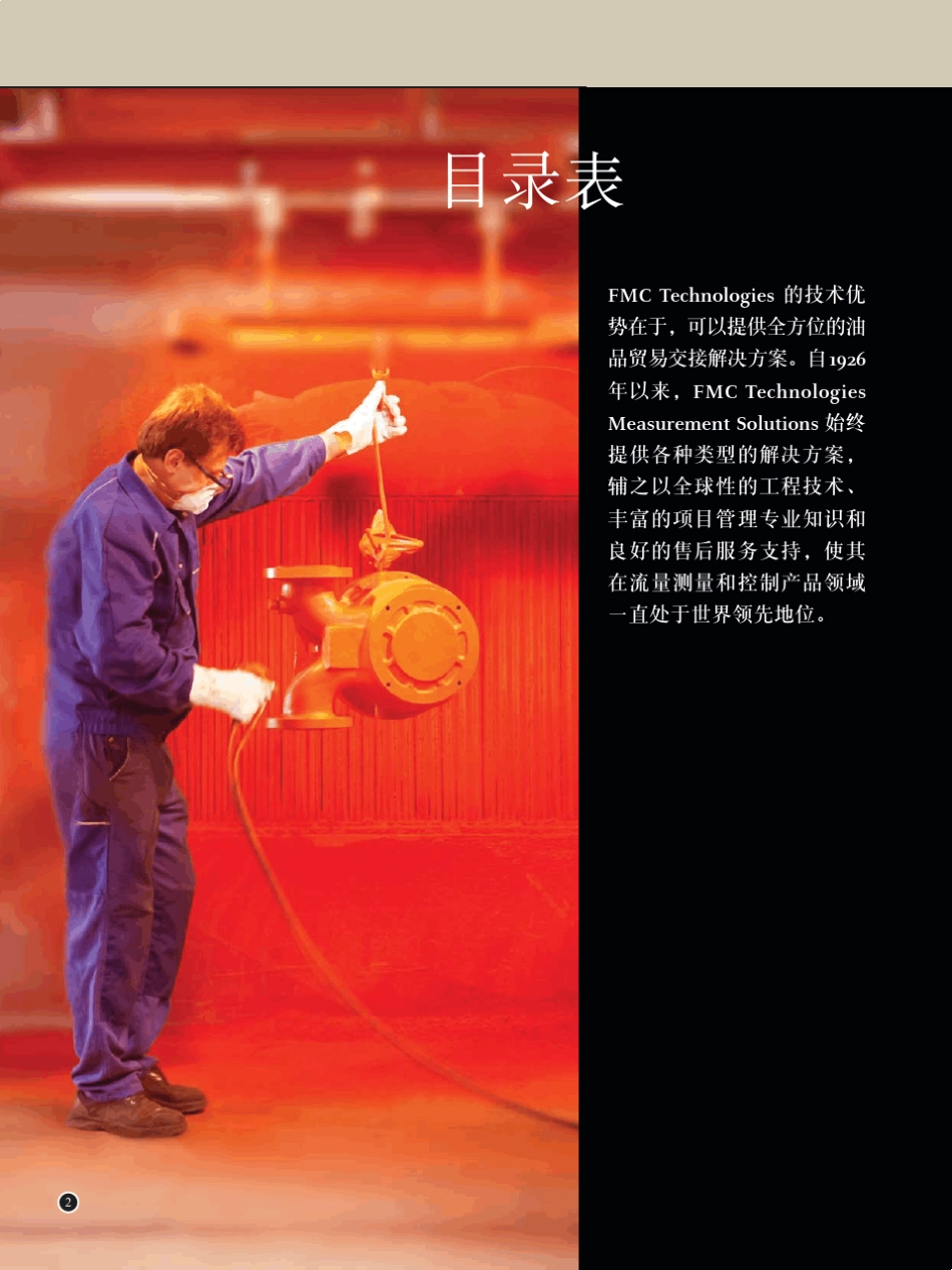 FMC石化设备_第2页
