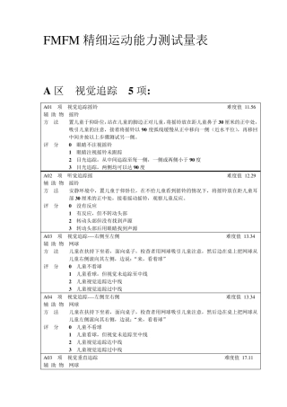 FMFM精细运动量表