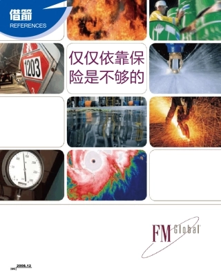 FM运营模式