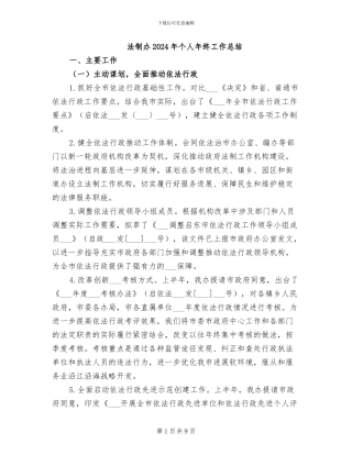法制办2024年个人年终工作总结