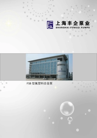 FSB型氟塑料合金泵