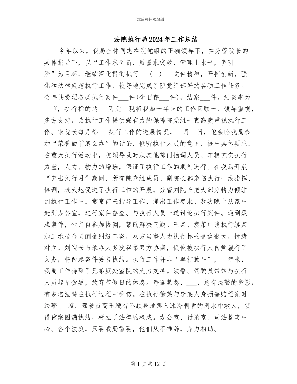 法院执行局2024年工作总结_第1页