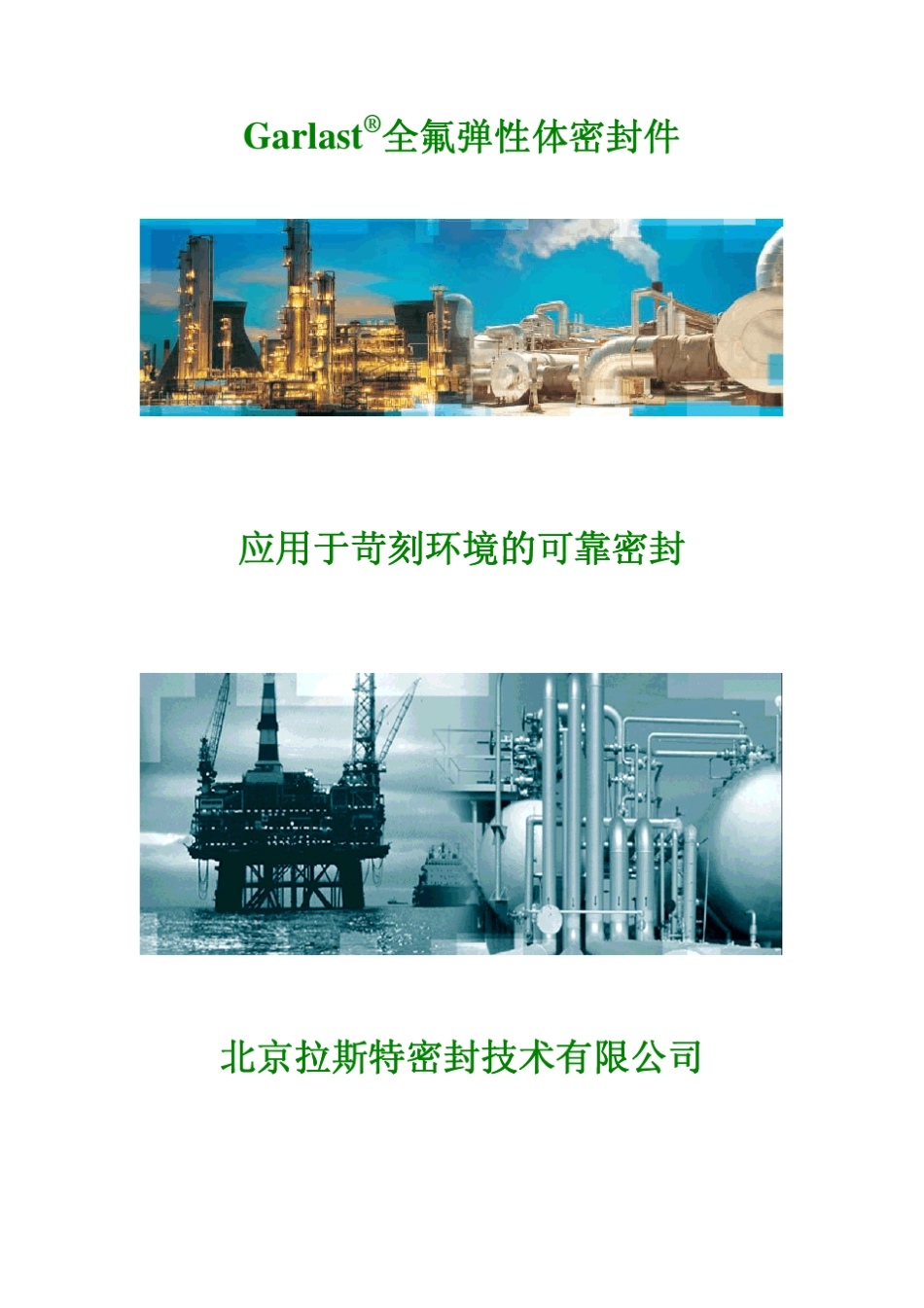 Garlast全氟弹性体密封件_第1页