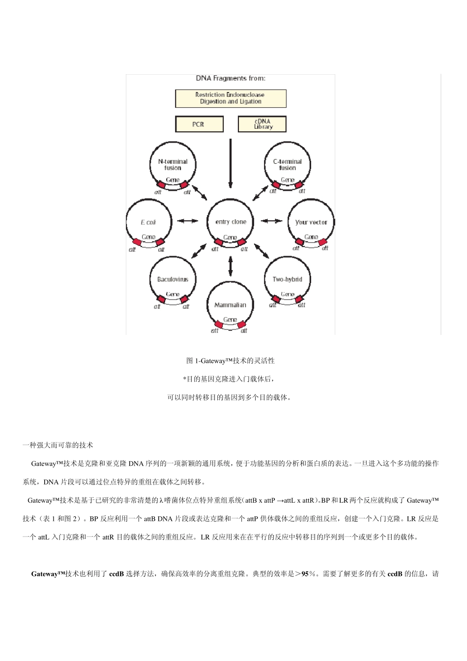 Gateway_第2页