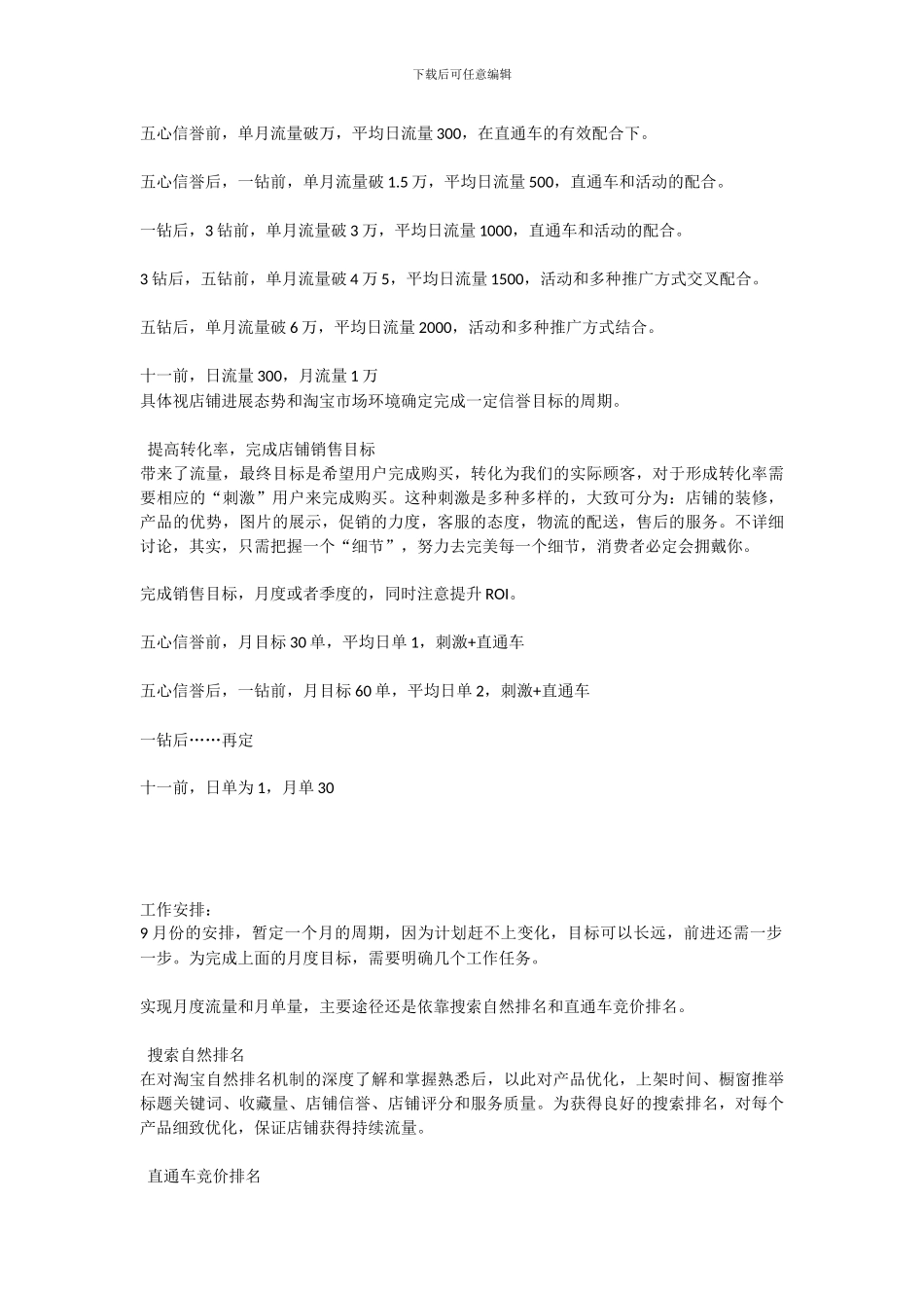 淘宝C店运营推广方案_第2页