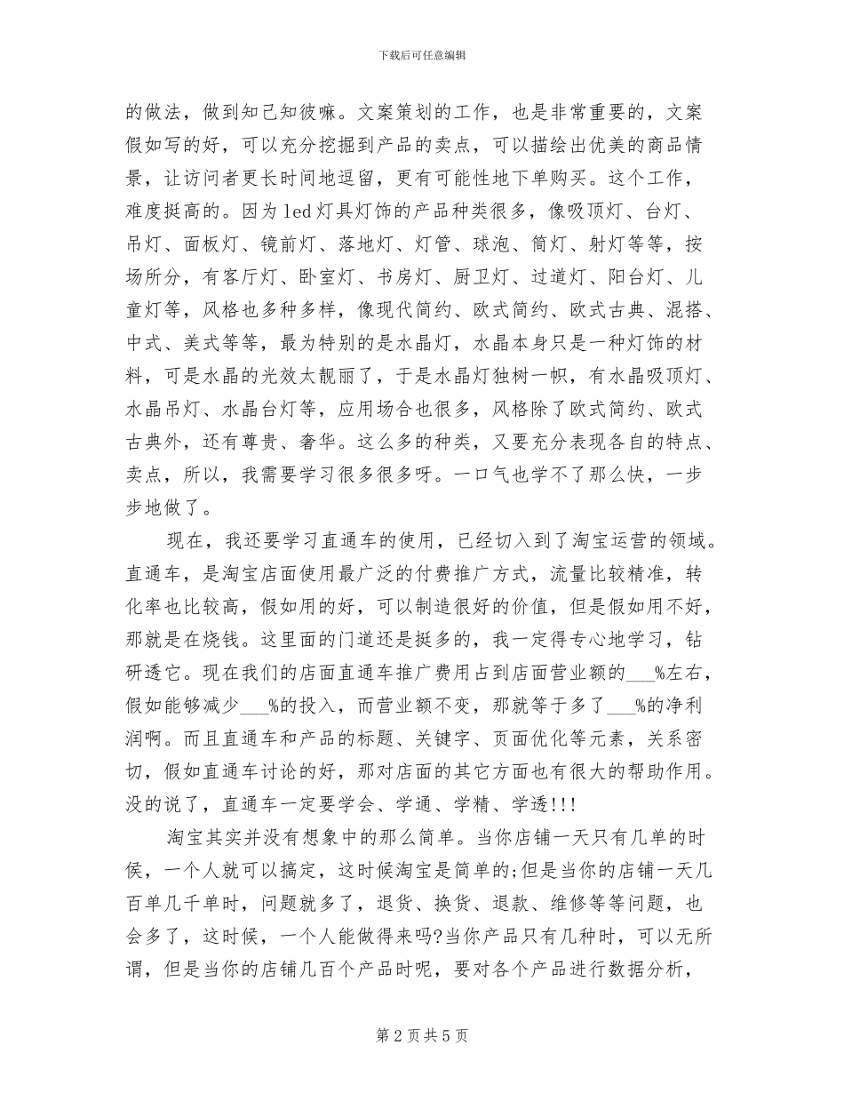 淘宝客服2024年个人总结_第2页