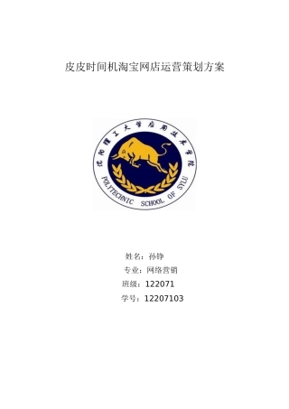 淘宝网店运营报告