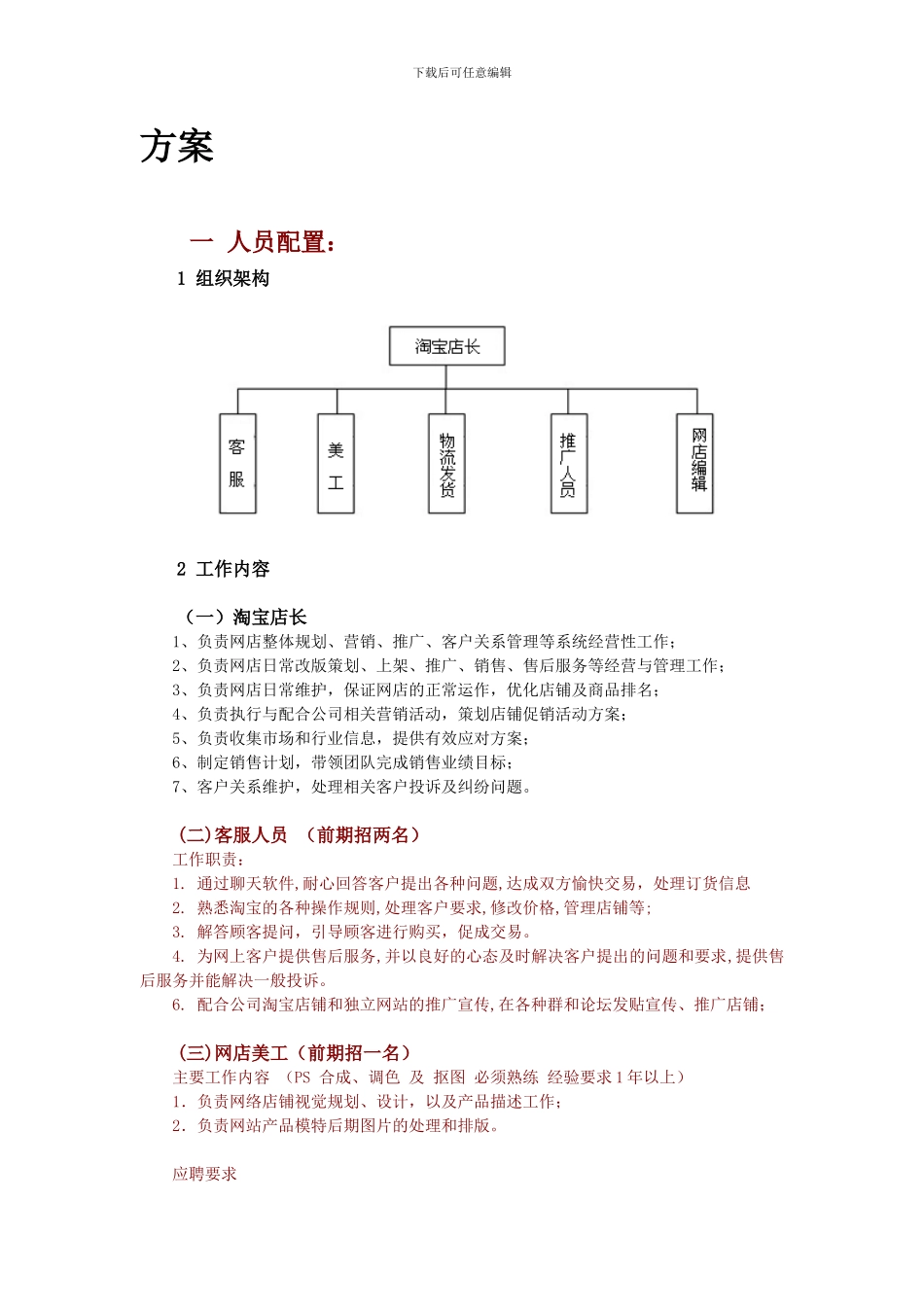 淘宝运营方案_第1页