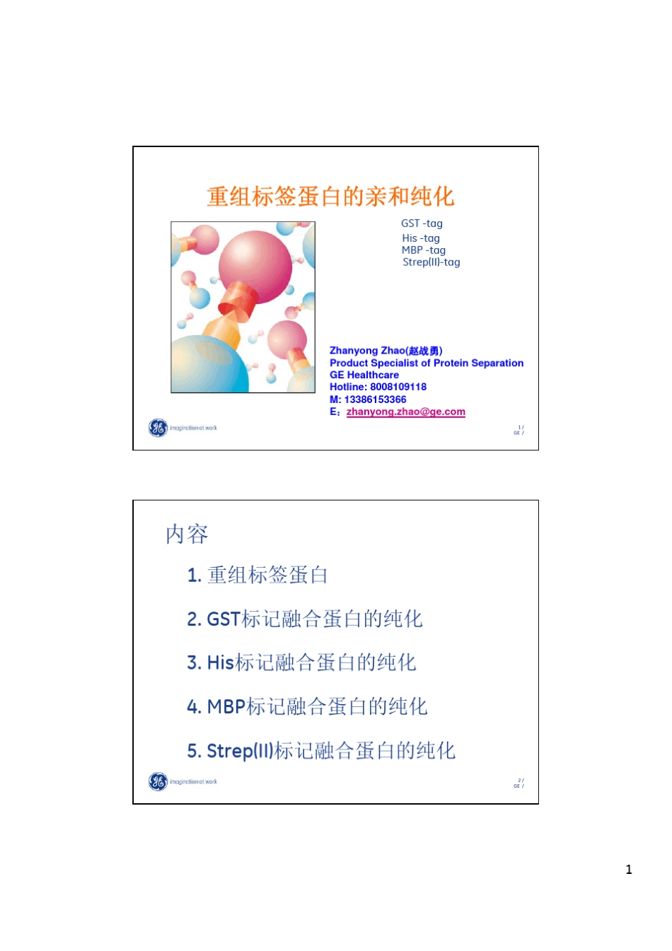 GE重组标签蛋白的亲和和纯化_第1页