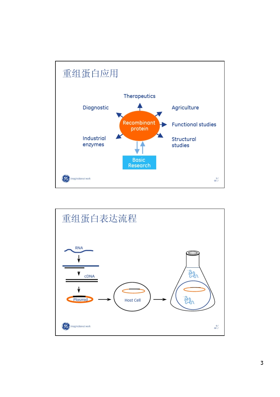 GE重组标签蛋白的亲和和纯化_第3页
