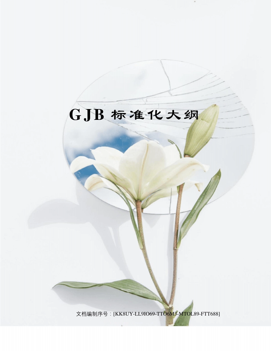 GJB标准化大纲_第1页