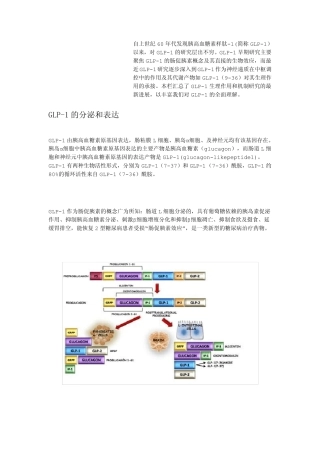 glp1简介