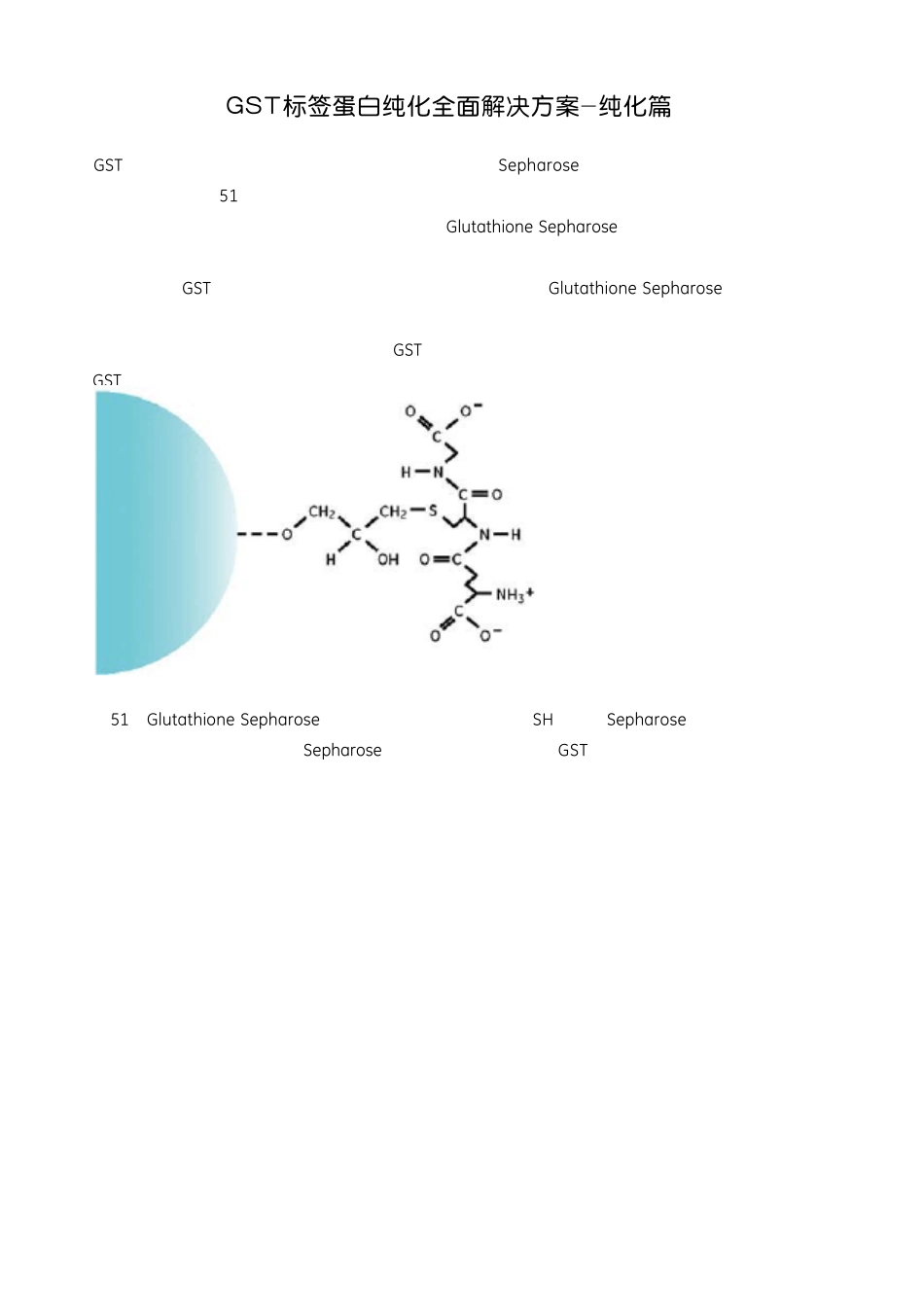 GST标签蛋白纯化全面解决方案_第1页