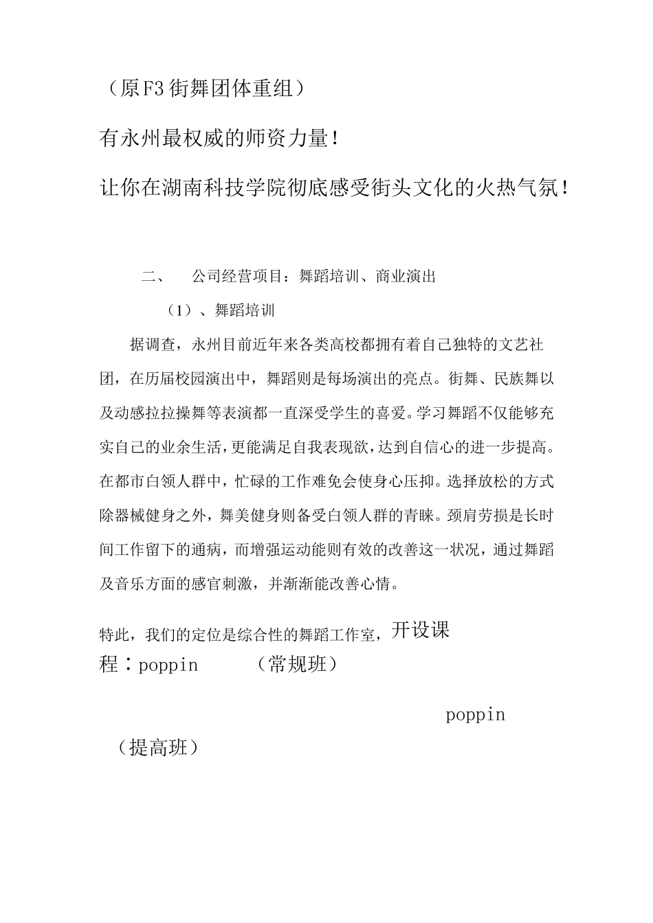 GTcrew舞蹈工作室创业计划书_第2页