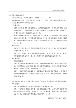 G显带染色体标本分析