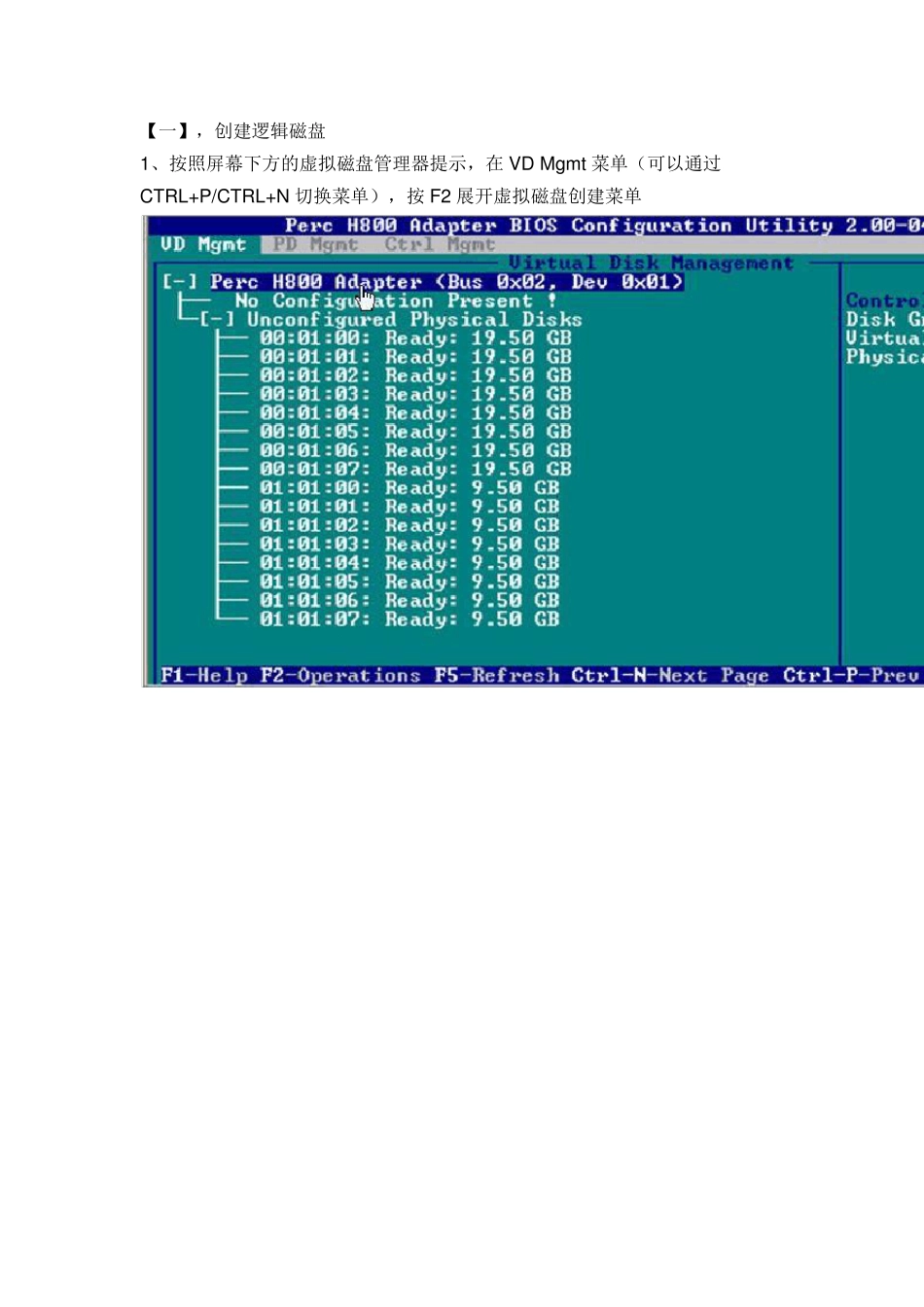 H800阵列卡+md1200配置完全手册图解_第3页