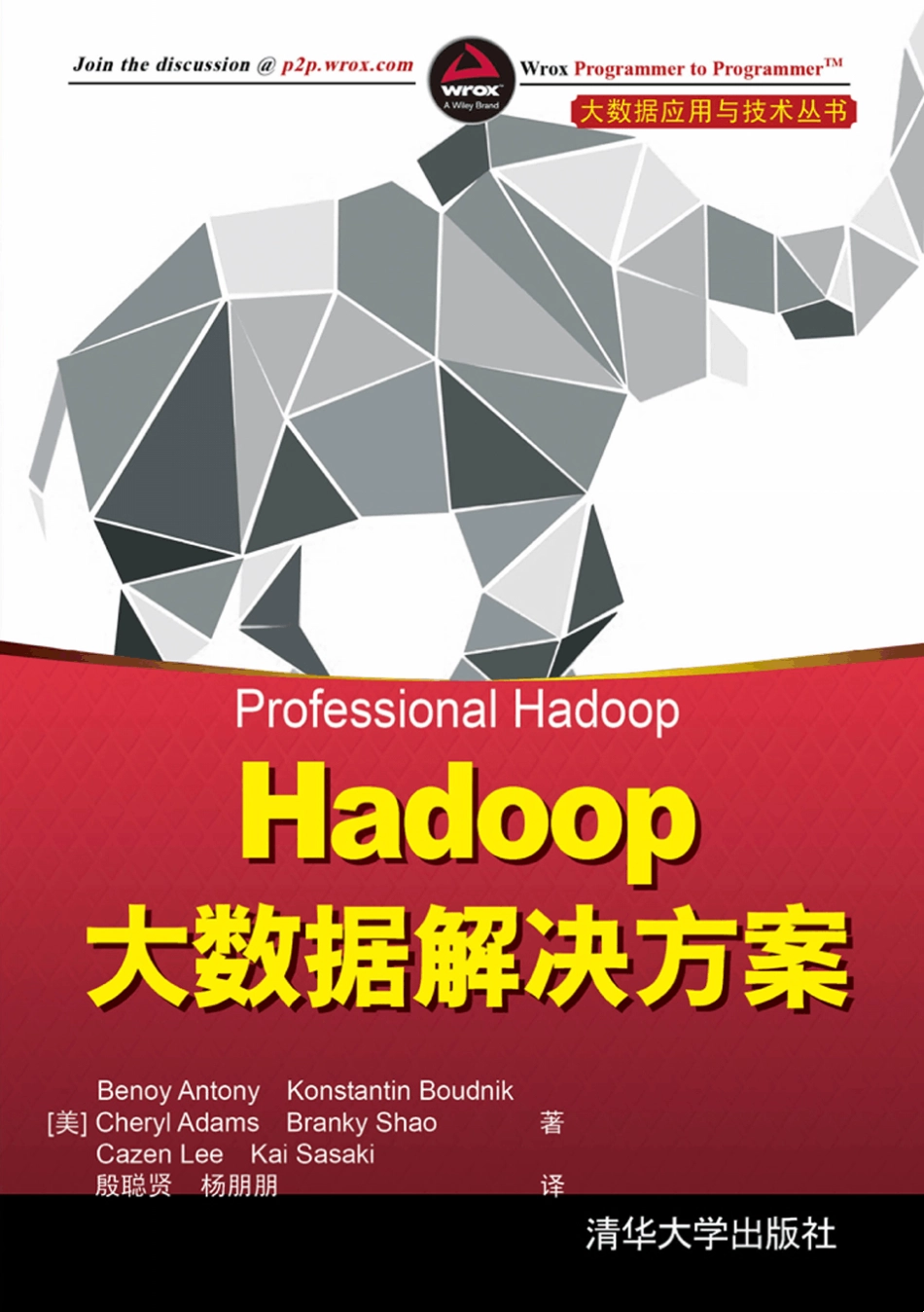 Hadoop大数据解决方案_第1页