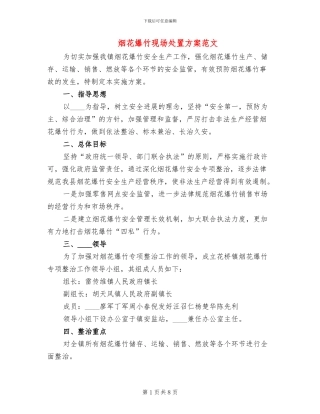 烟花爆竹现场处置方案范文(2篇)