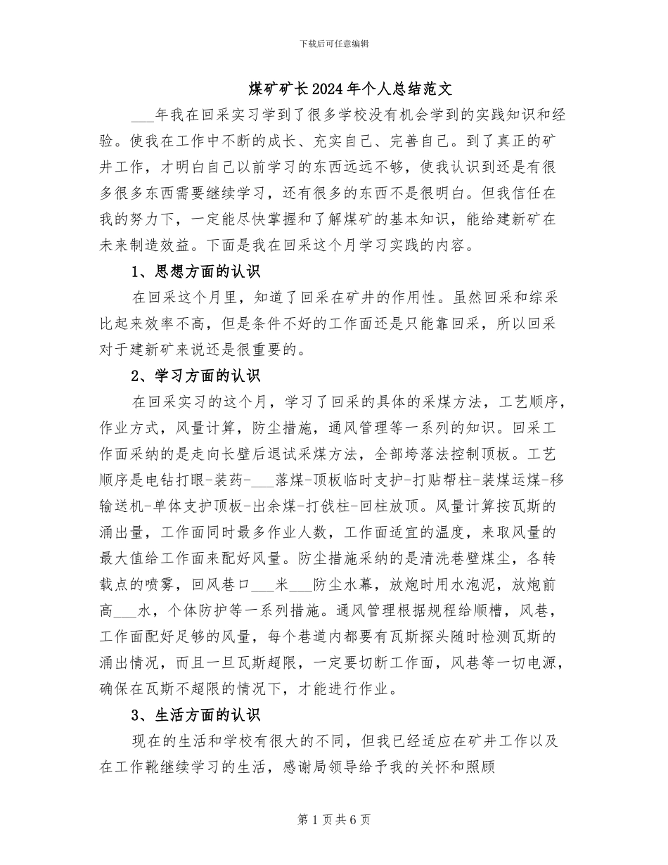 煤矿矿长2024年个人总结范文_第1页